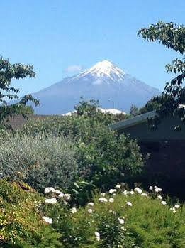 Motel Mount View Hawera
